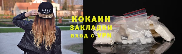 ГАЛЛЮЦИНОГЕННЫЕ ГРИБЫ Аркадак