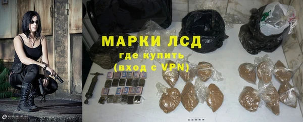 ГАЛЛЮЦИНОГЕННЫЕ ГРИБЫ Аркадак